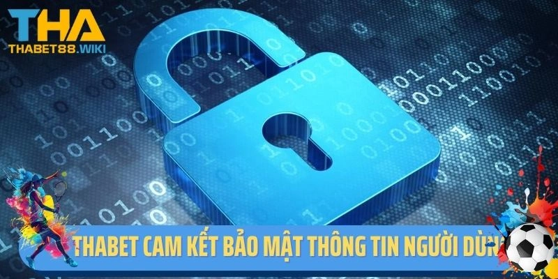 Thabet cam kết bảo mật thông tin người dùng